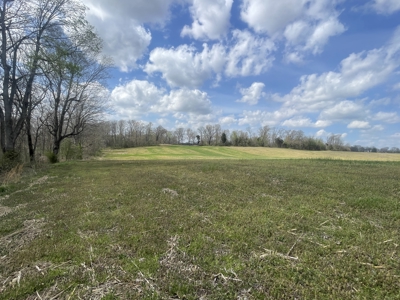 53.95 Acres of Prime Warren County Land at Auction in 4 Tracts - image 9