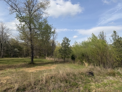 Lots for sale,Wilburton,OK Near Golf Course - image 14