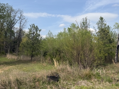Lots for sale,Wilburton,OK Near Golf Course - image 13