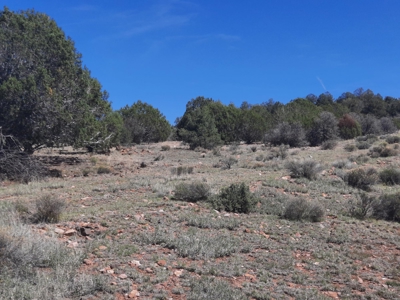 Unique 95.85 acre off grid parcel in Northern AZ - image 4