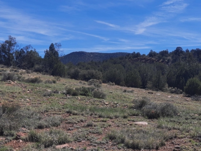 Unique 95.85 acre off grid parcel in Northern AZ - image 1