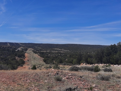 Unique 95.85 acre off grid parcel in Northern AZ - image 7