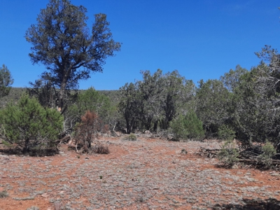 Unique 95.85 acre off grid parcel in Northern AZ - image 9