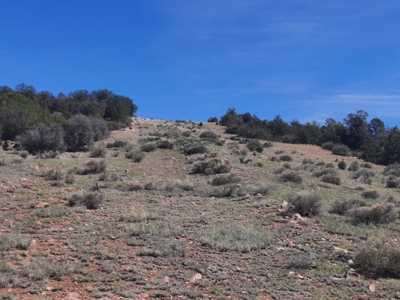 Unique 95.85 acre off grid parcel in Northern AZ - image 3