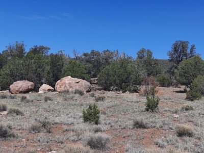 Unique 95.85 acre off grid parcel in Northern AZ - image 6