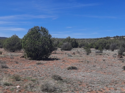 Unique 95.85 acre off grid parcel in Northern AZ - image 2