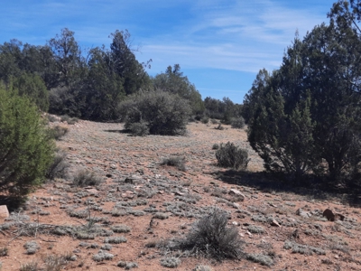 Unique 95.85 acre off grid parcel in Northern AZ - image 5