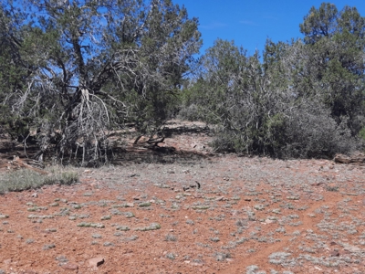 Unique 95.85 acre off grid parcel in Northern AZ - image 8