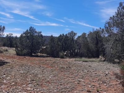 Unique 95.85 acre off grid parcel in Northern AZ - image 11