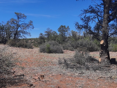 Unique 95.85 acre off grid parcel in Northern AZ - image 10