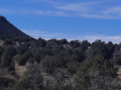 AMAZING 185.59 off grid Northern AZ land - image 8