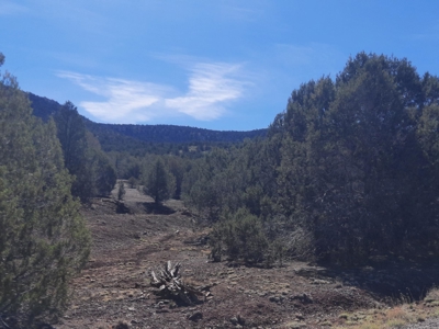 AMAZING 185.59 off grid Northern AZ land - image 4