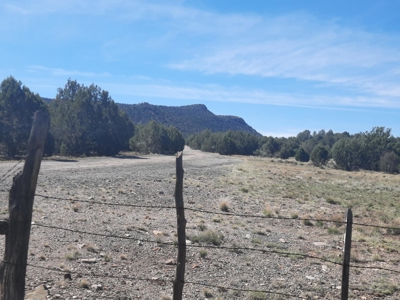 AMAZING 185.59 off grid Northern AZ land - image 2