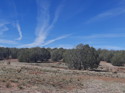 AMAZING 185.59 off grid Northern AZ land - image 3