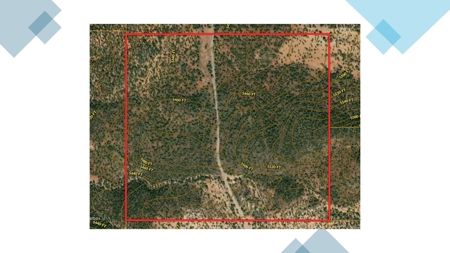 AMAZING 185.59 off grid Northern AZ land - image 9