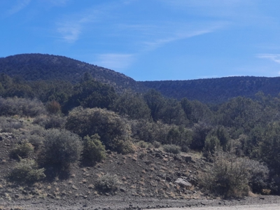 AMAZING 185.59 off grid Northern AZ land - image 7