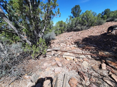 REMOTE Northern AZ off grid 160 ACRES old Homestead property - image 9