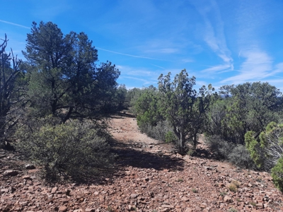 REMOTE Northern AZ off grid 160 ACRES old Homestead property - image 5
