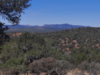 REMOTE Northern AZ off grid 160 ACRES old Homestead property - image 1