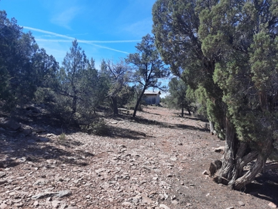 REMOTE Northern AZ off grid 160 ACRES old Homestead property - image 3