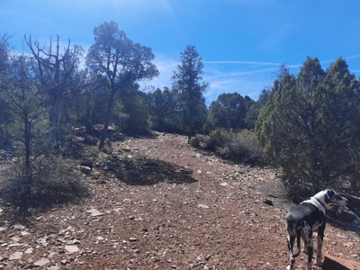 REMOTE Northern AZ off grid 160 ACRES old Homestead property - image 6