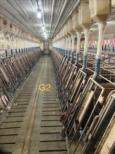 89 acre farm in the Town of Sugar Creek, Walworth County - image 11