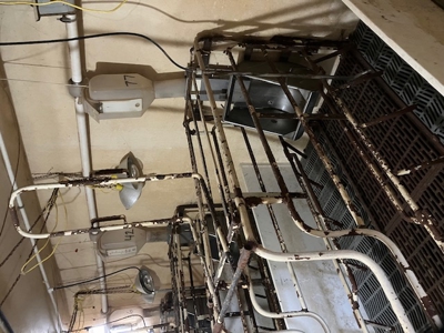 89 acre farm in the Town of Sugar Creek, Walworth County - image 23