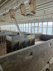 89 acre farm in the Town of Sugar Creek, Walworth County - image 19