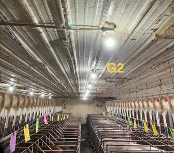 89 acre farm in the Town of Sugar Creek, Walworth County - image 12