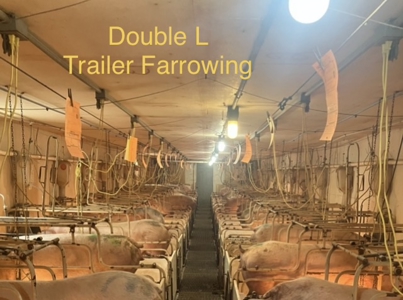 89 acre farm in the Town of Sugar Creek, Walworth County - image 24