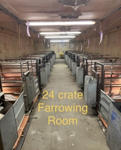 89 acre farm in the Town of Sugar Creek, Walworth County - image 27