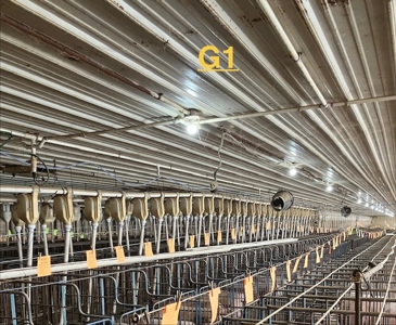 89 acre farm in the Town of Sugar Creek, Walworth County - image 10