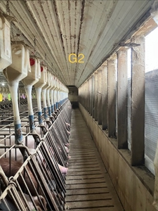 89 acre farm in the Town of Sugar Creek, Walworth County - image 13