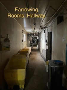 89 acre farm in the Town of Sugar Creek, Walworth County - image 25