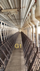 89 acre farm in the Town of Sugar Creek, Walworth County - image 9