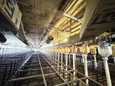 13-acre farmstead in the Town of Clinton in Rock County - image 17