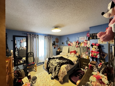 13-acre farmstead in the Town of Clinton in Rock County - image 50