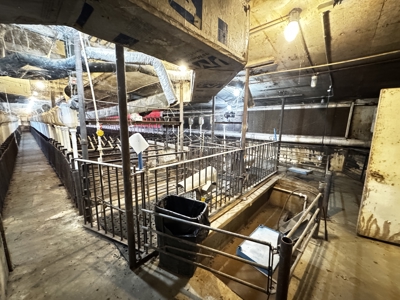 13-acre farmstead in the Town of Clinton in Rock County - image 15