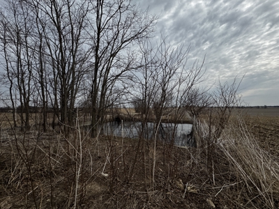 13-acre farmstead in the Town of Clinton in Rock County - image 28