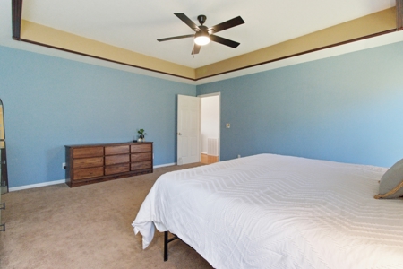 Gorgeous Custom Built Home with Equine setup - image 15