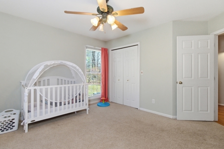 Gorgeous Custom Built Home with Equine setup - image 12