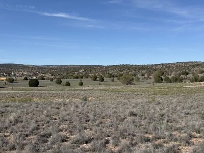 Land for sale in Paulden AZ, no HOA - image 5