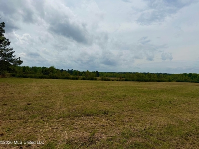 64+- Pastureland West Lincoln School Smithdale MS - image 17