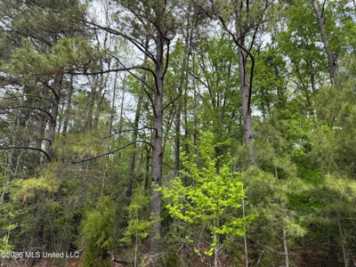 64+- Pastureland West Lincoln School Smithdale MS - image 13