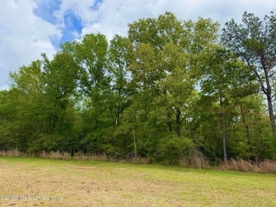 64+- Pastureland West Lincoln School Smithdale MS - image 15