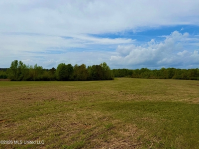 64+- Pastureland West Lincoln School Smithdale MS - image 9