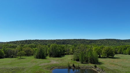 20 Acres (MOL) Kiamichi River Frontage Property For Sale! - image 14