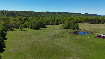 20 Acres (MOL) Kiamichi River Frontage Property For Sale! - image 1