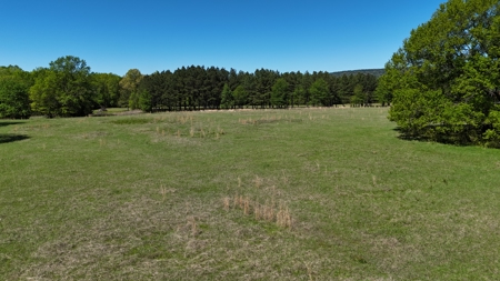 20 Acres (MOL) Kiamichi River Frontage Property For Sale! - image 9