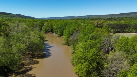 20 Acres (MOL) Kiamichi River Frontage Property For Sale! - image 4